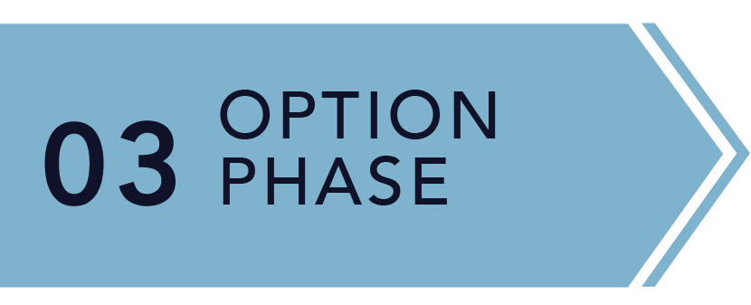 Palisade-Contracting-Process-Steps-options-phase